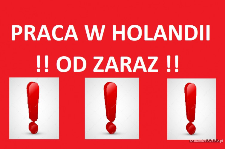 OGÓLNE_WYKRZYKNIK_.jpg