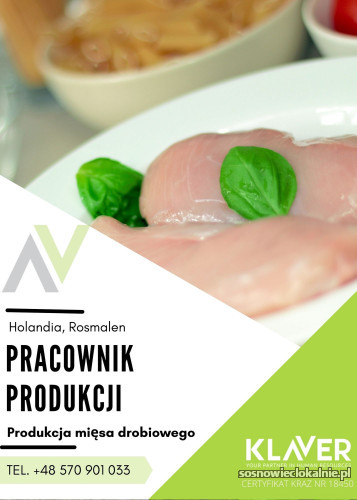 praca-przy-pakowaniu-miesa-drobiowego-praca-w-holandii-na-umowie-holenderskiej-46333.jpg