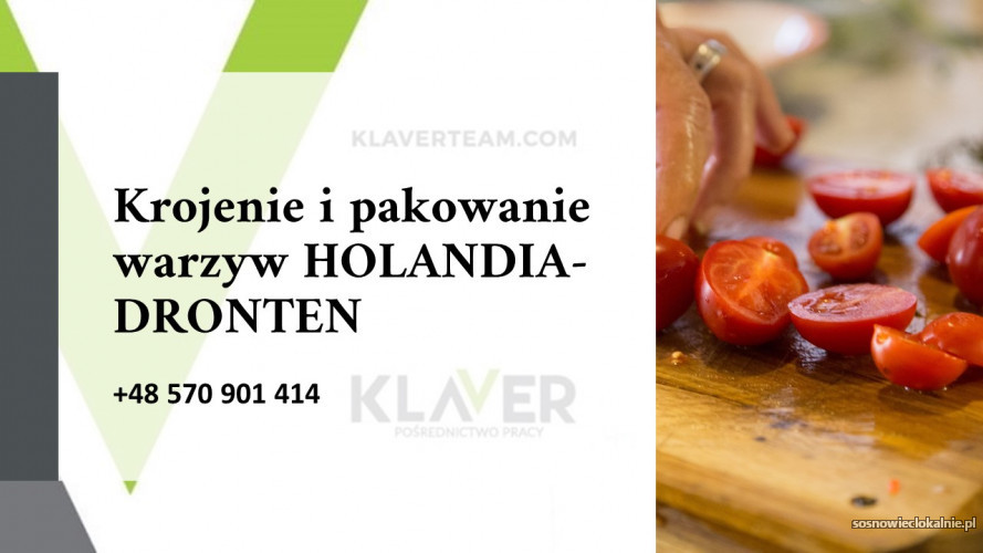 salatki-obiadowe-produkcja-krojenie-i-pakownie-warzyw-praca-w-holandia-46430.jpg