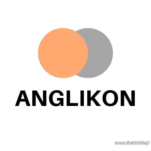 korepetycje-z-angielskiego-46458.jpg
