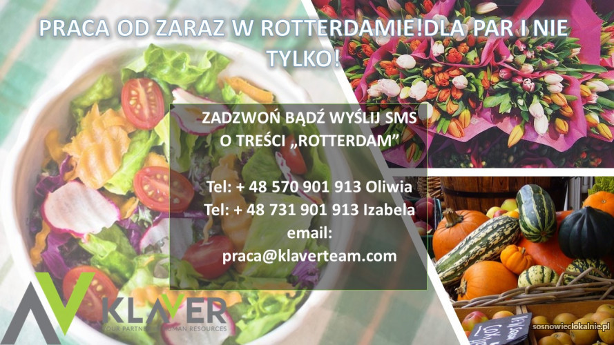 szukasz-pracy-w-holandii-z-duza-iloscia-godzin-zadzwon-46735.jpg