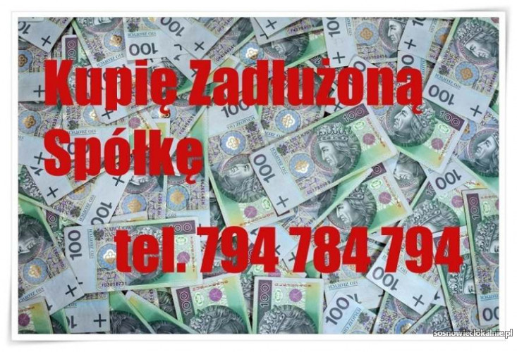 kupie-zadluzona-spolke-skuteczna-ochrona-299-586-ksh-uks-kas-46956.jpg