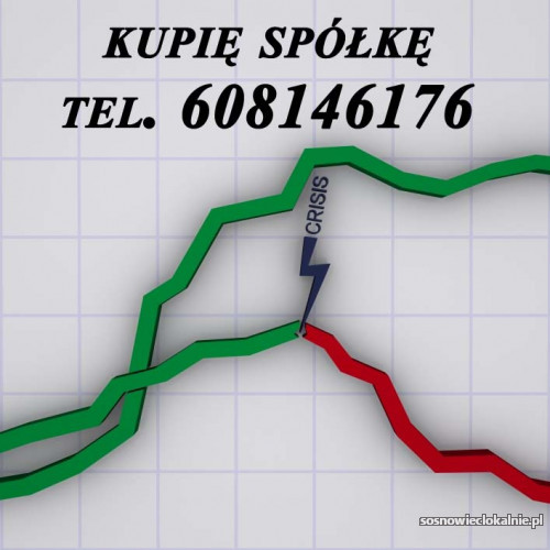 skupujemy-zadluzone-spolki-ochrona-zarzadu-przed-299kasjpkzuspip-47096.jpg