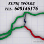 Skupujemy Zadłużone Spółki - Ochrona Zarządu Przed: 299/KAS/JPK/ZUS/PIP Skupujemy Zadłużone Spółki - Ochrona Zarządu Przed: 299/KAS/JPK/ZUS/PIP