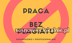 zawodowe-pisanie-i-redagowanie-prac-bez-plagiatu-47134.jpg