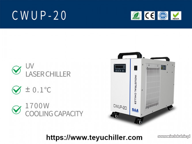 CWUP-20.jpg