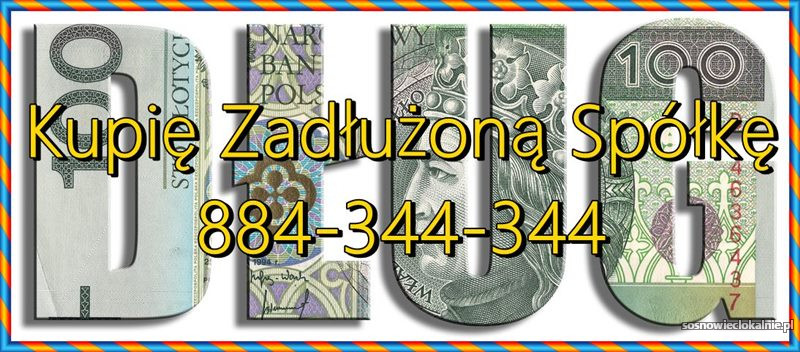 ochrona-zarzadu-spolek-z-oo-skuteczne-unikanie-art-299-ksh-47296.jpg
