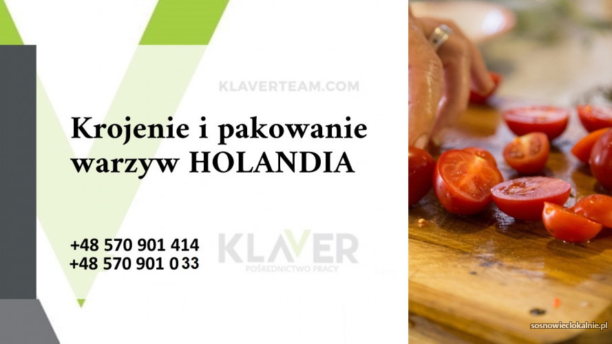 Krojenie_i_pakowanie_warzyw_HOLANDIA-_DRONTEN1.jpg