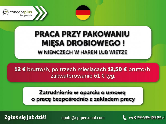 fb_opole_kury_nowe.jpg