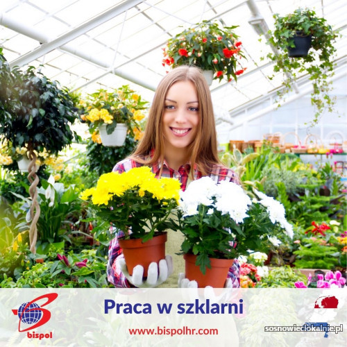 Praca_w_szklarniach(1).jpg