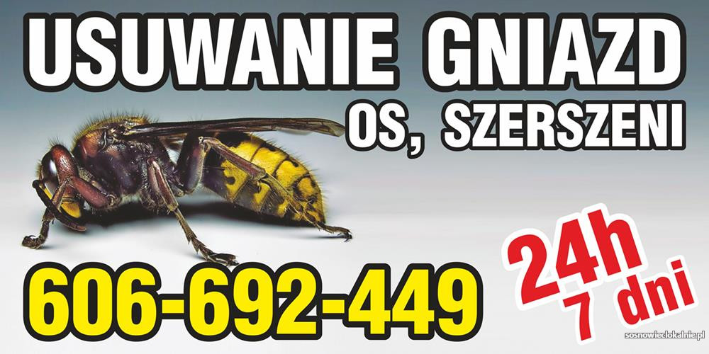 osy-szerszenie-usuwanie-gniazd-os-szerszeni-likwidacja-os-szerszeni-48529.jpg