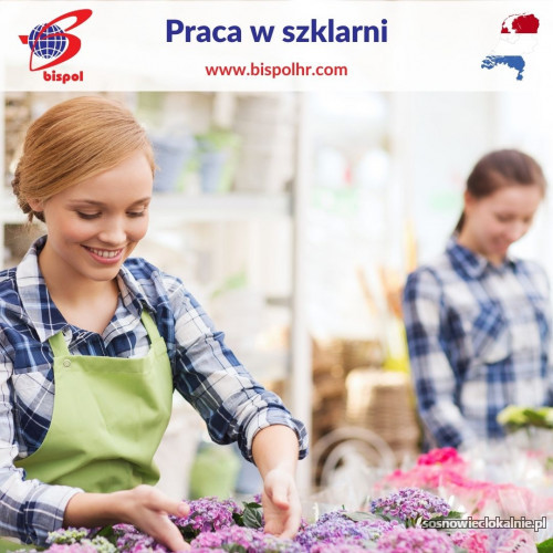 Kopia_Praca_w_szklarniach.jpg