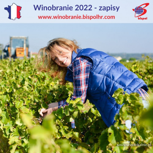 winobranie-francja-2022-48795.jpg