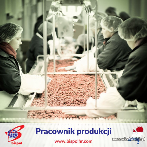 pracownik_produkcji_pl.jpg