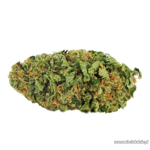 sklep-z-thc-i-nie-tylko-protonchemcom-49451.jpg