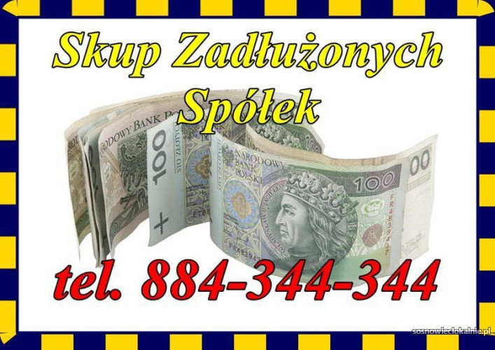 skup-zadluzonych-spolekjdg-oraz-nieruchomoscimieszkandzialekdomow-50976.jpg