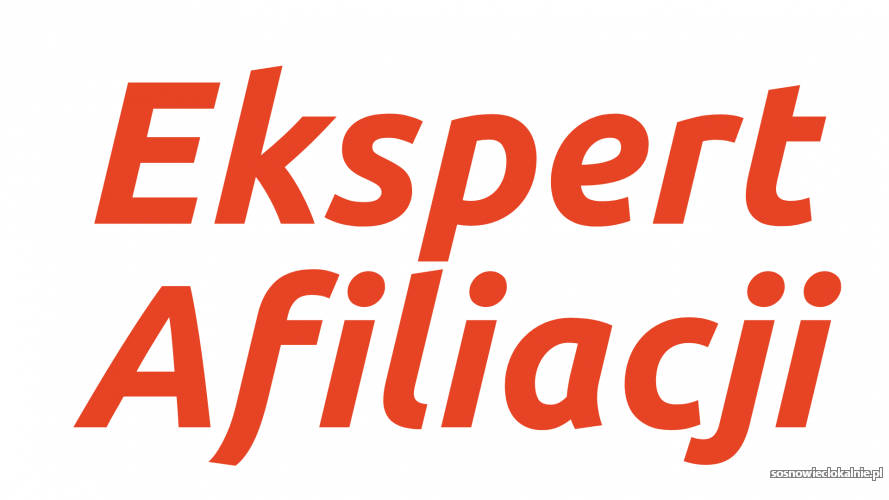 latwa-dodatkowa-praca-zdalna-w-domu-przez-internet-chalupnicza-51372.jpg
