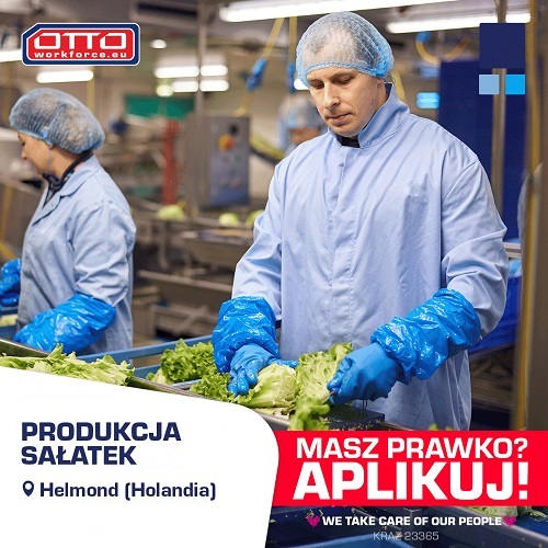 OTTO.jpg