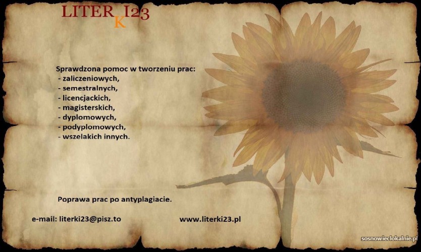 profesjonalna-pomoc-w-pisaniu-prac-licencjackich-i-magisterskich-52317.jpg