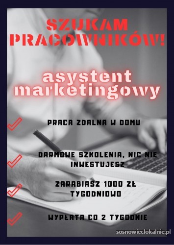 praca-w-domu-zdalnie-on-line-bez-doswiadczenia-52364.jpg
