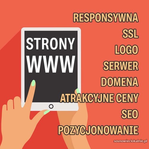 strony-internetowe-dla-firmy-strona-i-sklep-internetowy-seosem-52585.jpg