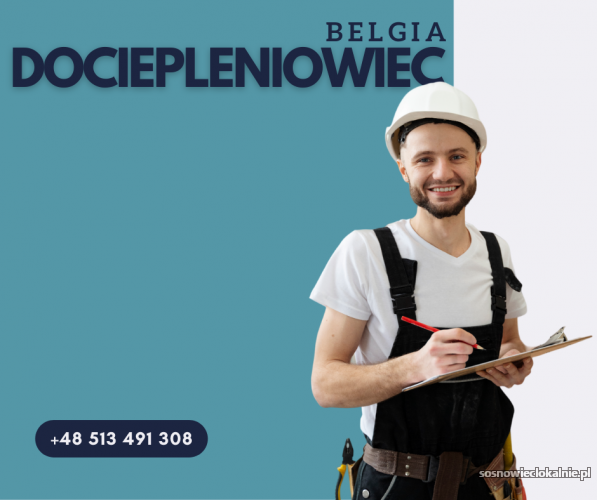 dociepleniowiecocieplenia-belgia-52634.jpg