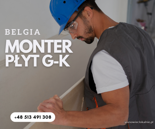 monter-plyt-kg-firmy-podwykonawcze-belgia-52653.jpg