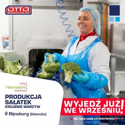 Przygotowywanie_sałatek_i_pudełek_z_owocami__–_Holandia__-_(Nowe_ogłoszenie)__.jpg