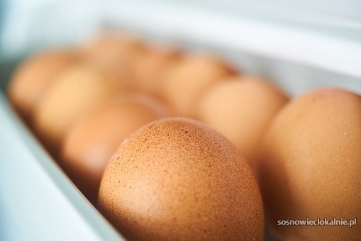 Pakowanie jajek- HOLANDIA od zaraz Pakowanie jajek- HOLANDIA od zaraz