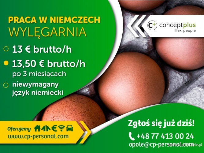 Pracownik wylęgarnia Pracownik wylęgarnia