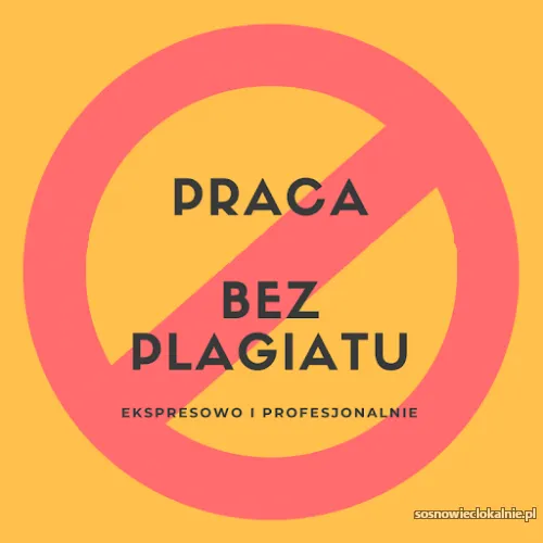 zawodowe-pisanie-i-redagowanie-prac-54075.webp