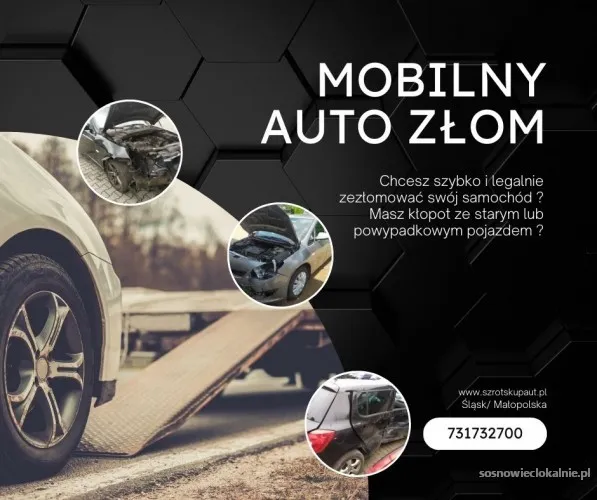 auto-zlomowanie-z-dojazdem_(4).webp