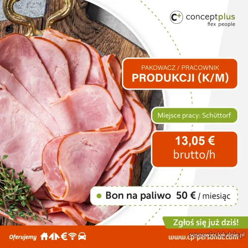 Schuttorf_grafika.webp