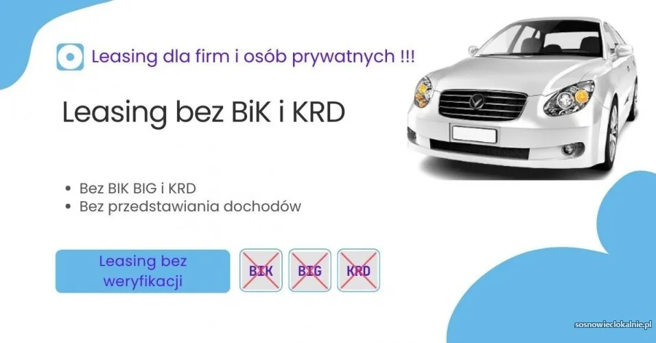 leasing-bez-bik-big-i-krd-dla-zadluzonych-bez-baz-i-dochodow-hit-54446.webp