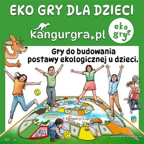 eko-gry-do-budowania-postawy-ekologicznej-dzieci-54471.webp