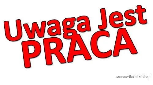 pracownik-magazynu-z-jezykiem-angielskim-holandia-nl-54793.webp