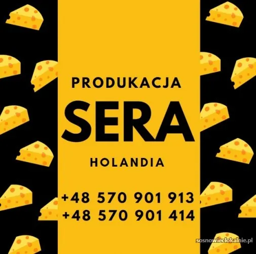 produkcja-sera-holandia-bez-prawa-jazdy-54794.webp