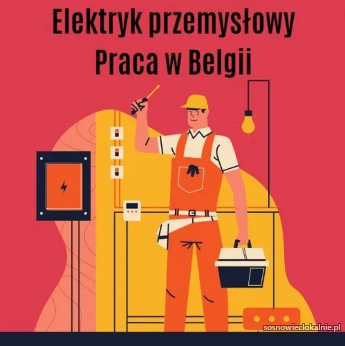 elektryk-przemyslowy-belgia-wym-jezyk-angielski-54816.webp