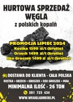Sprzedaż hurtowa węgla.Polskie kopalnie.Promocja Lipiec 2024 Sprzedaż hurtowa węgla.Polskie kopalnie.Promocja Lipiec 2024