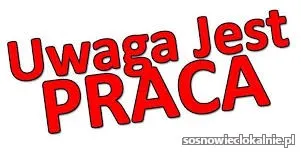 uprawa-sadzonek-praca-w-holandii-54914.webp