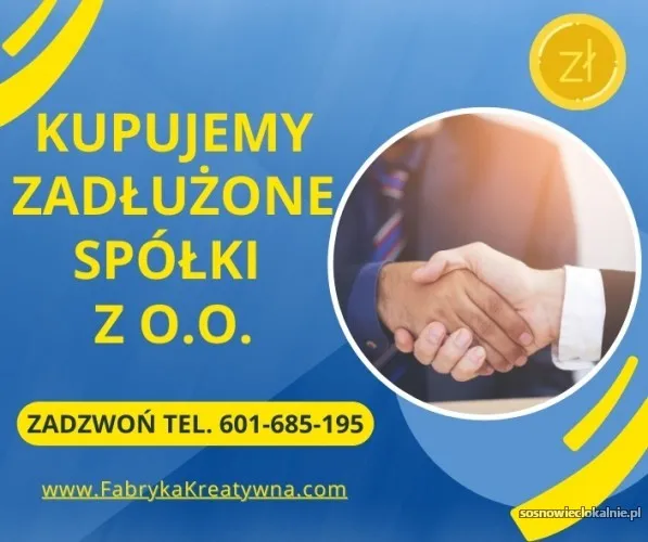 zadluzona-spolke-pomoc-z-299586-ksh-zusus-i-inne-niedogodnosci-54968.webp