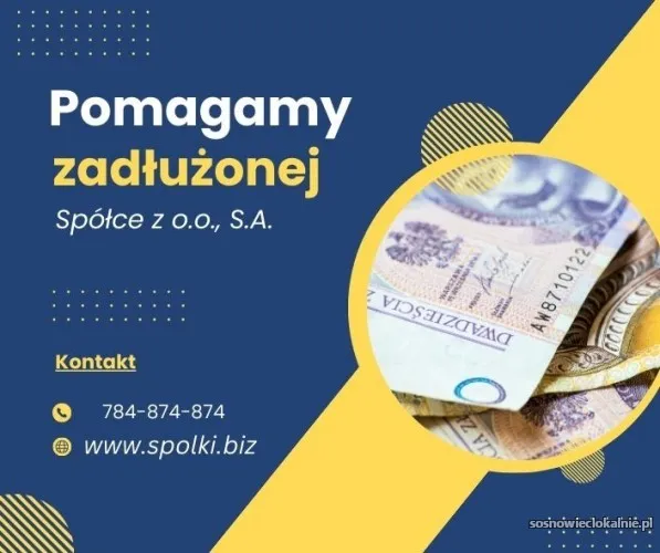 ochrona-czlonkow-zarzadu-pomoc-optymalizacja-jpkkaszus-299586-ksh-55051.webp