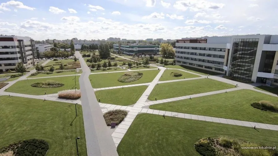 administracja-systemami-i-aplikacjami-studia-podyplomowe-55334.webp