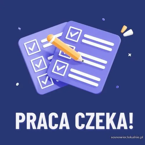 ankieter-praca-dodatkowa-55387.webp