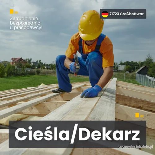 praca-niemcy-bawaria-ciesla-konstrukcyjny-dekarz-55505.webp