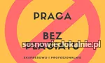zawodowe-pisanie-i-redagowanie-prac-56241.webp