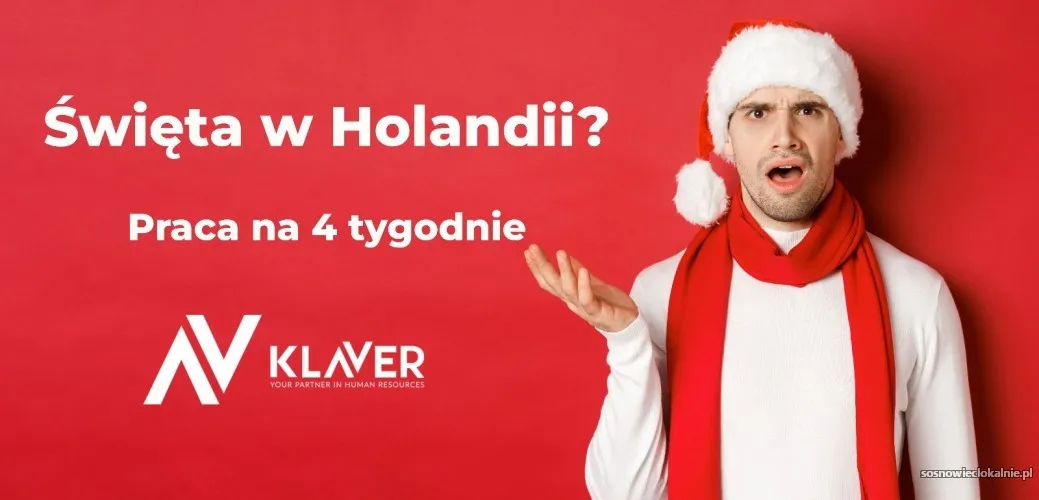 praca-krotkoterminowa-w-holandii-4-tygodnie-swieta-56316.webp