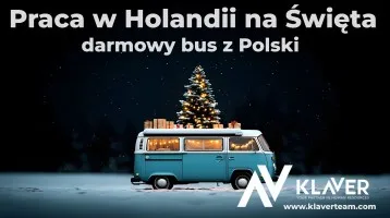 Zarób przed świętami - krótki wyjazd do Holandii! Zarób przed świętami - krótki wyjazd do Holandii!
