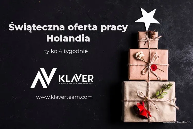 dodatkowa-praca-na-swieta-wyjazd-do-holandii-56322.webp