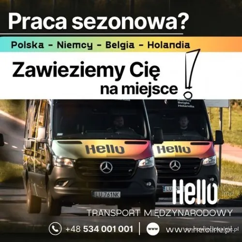hello-line-miedzynarodowe-przewozy-osob-polska-niemcy-holandia-belgia-56357.webp